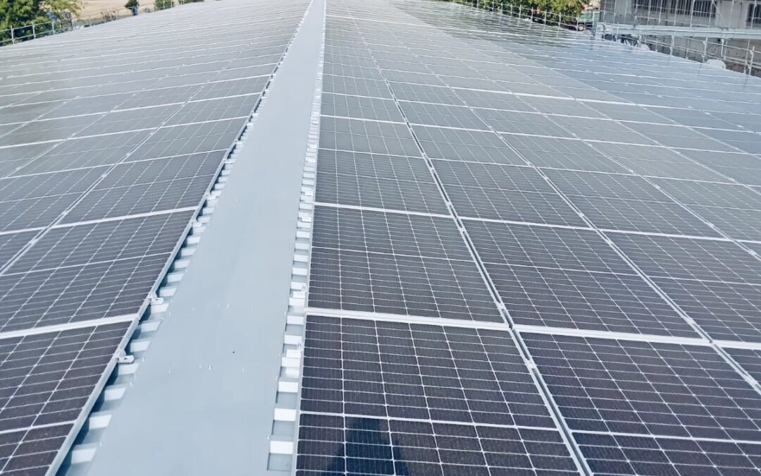 Firmy ve velkém chystají vlastní fotovoltaiky, ukazuje průzkum